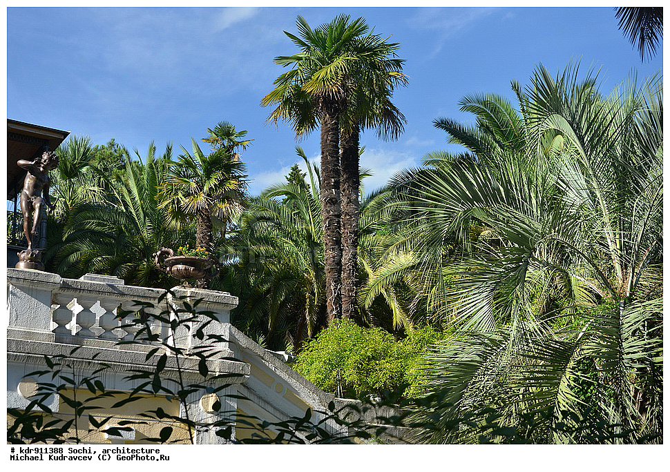 ������, ����, �����������