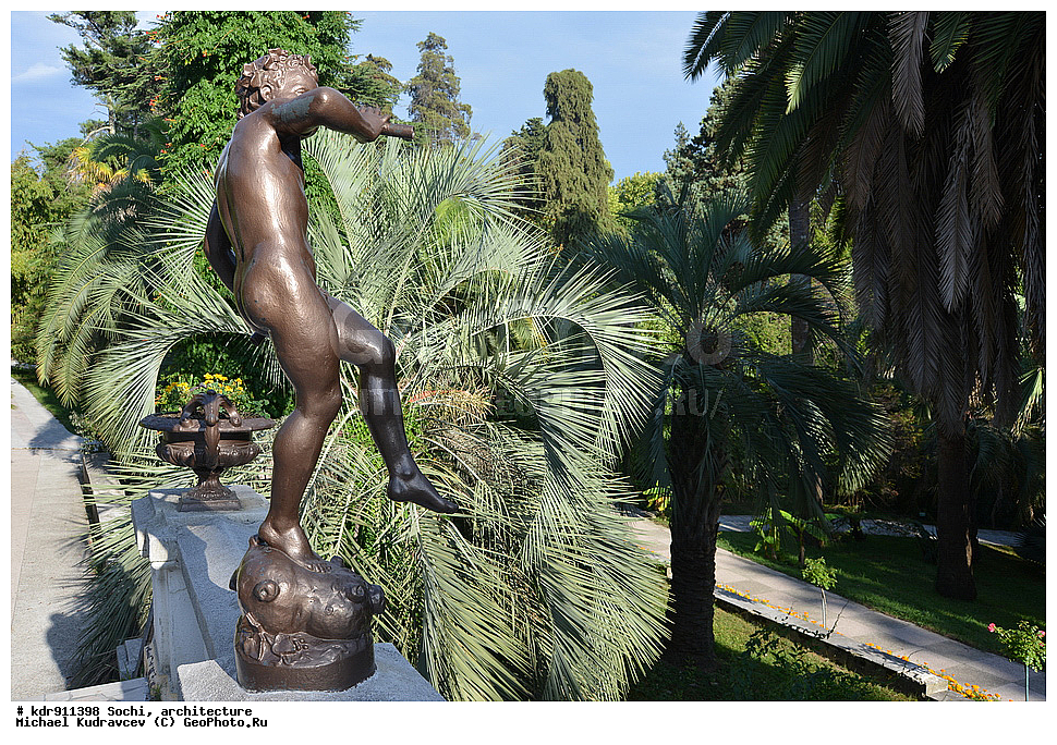 ������, ����, �����������