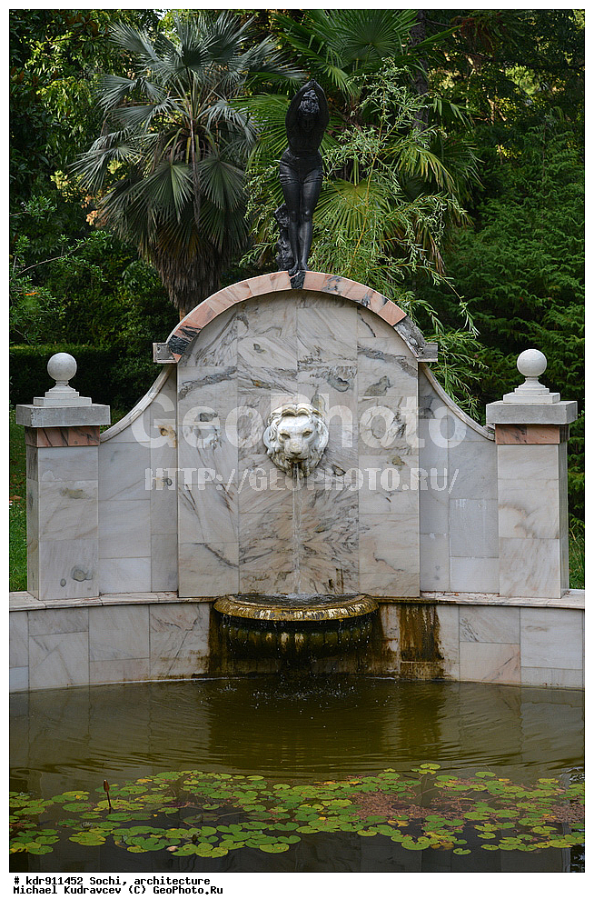 ������, ����, �����������