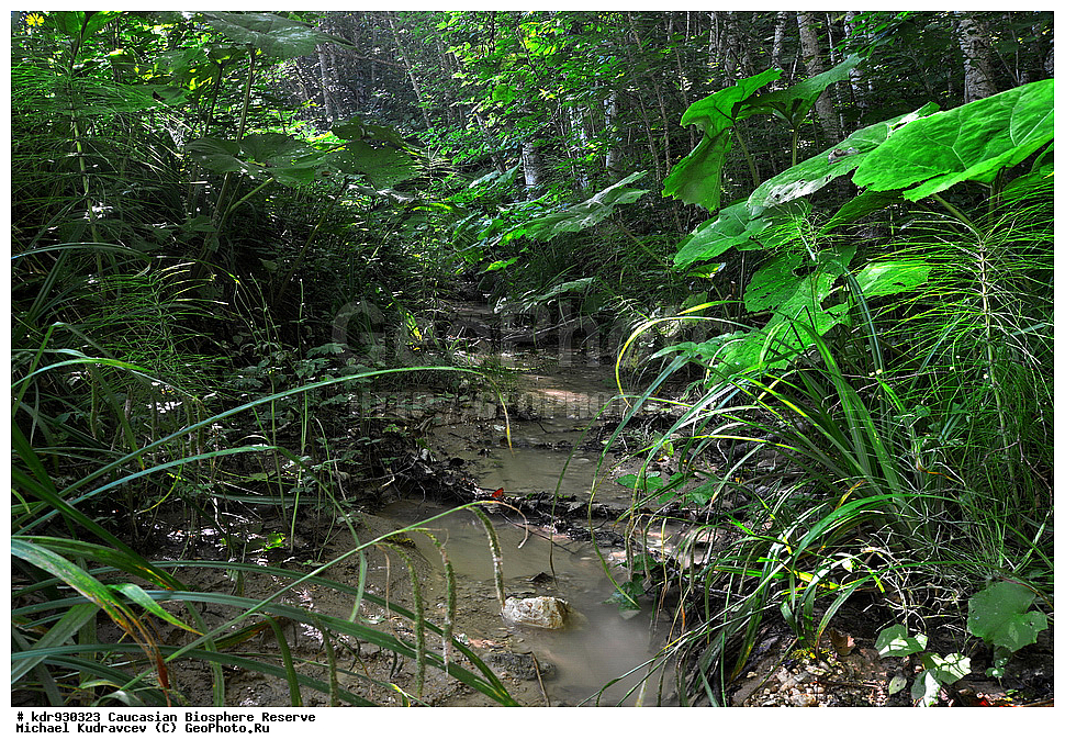 ������, ����������, ����������