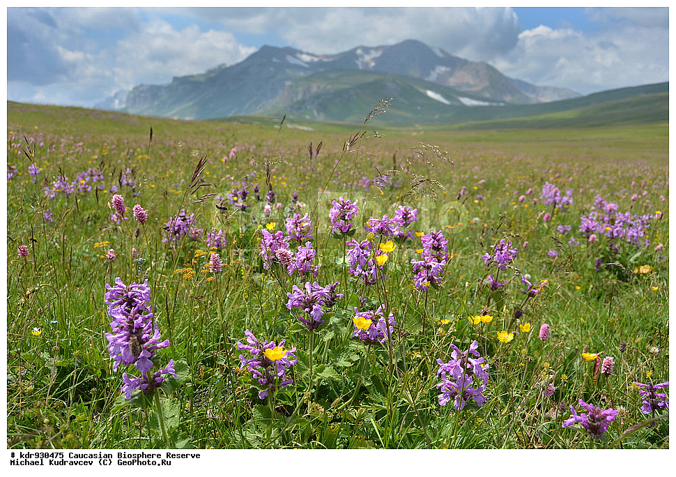 ������, ����������, ����������