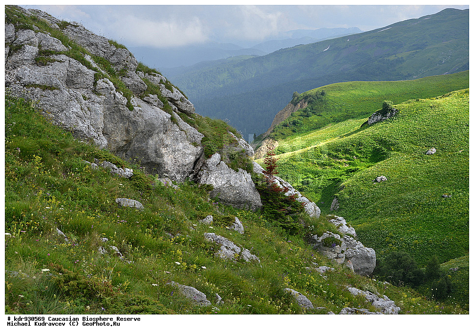 ������, ����������, ����������