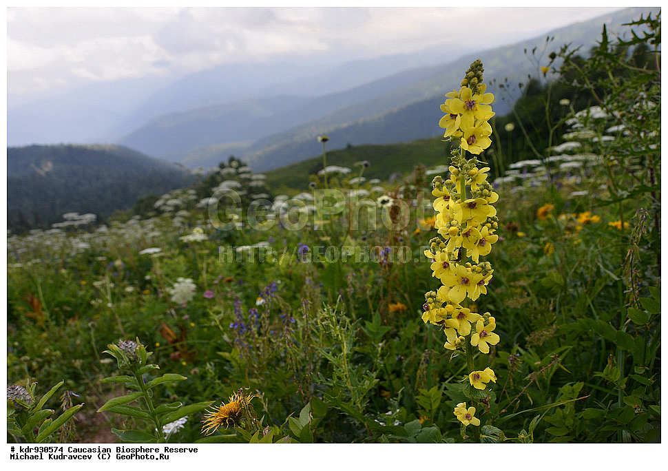 ������, ����������, ����������