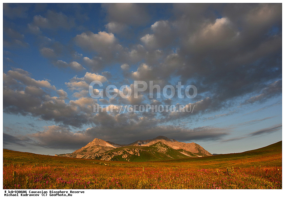 ������, ����������, ����������