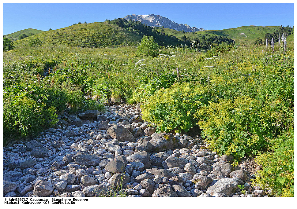 ������, ����������, ����������