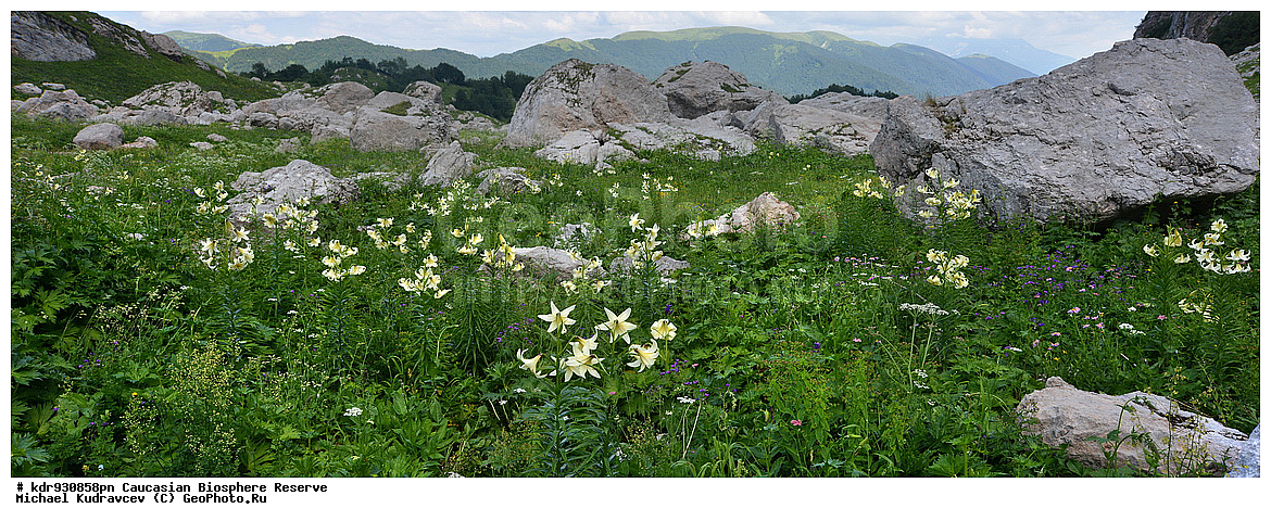 ������, ����������, ����������