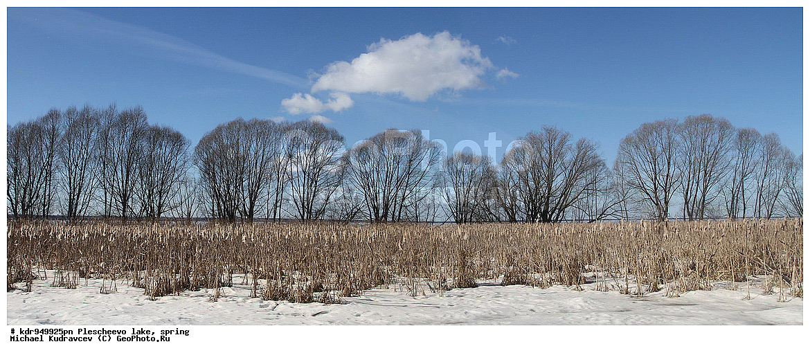 ��������, �����, �����, ����������� �������, ������, �������, ������������ ���� �������� �����