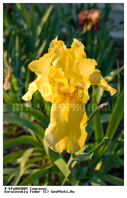 �����, ����, ������, ������������ ������, �������, ������, ����������� ����������� ��������, �������, �������, ��� �������� ��������� �����������, ��������, �������, �����