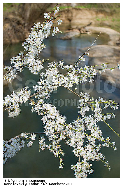 �����, ����, ���������, ����, �����, ���, ��������� ��������� ������, ��������, ����� �����