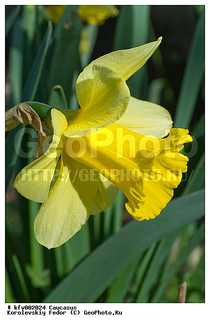 �����, ����� �������, ������ ���, ������, �������, ���������, ����������, ������ �����, ��������, �������, ������, �����