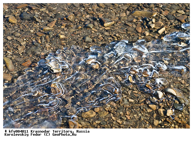 ������ ����, ����, ������, ������ ������, ���������, �����, �������, ��, ����������, ����, ������� ����, ������� ������, ������� ����, ���