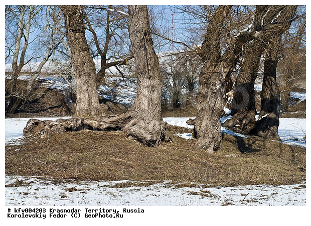 ������������� ����, ������, �����, �������, ������ ���� ������, ����, ����������, ��������, ���������, ����, ������ �����, ������