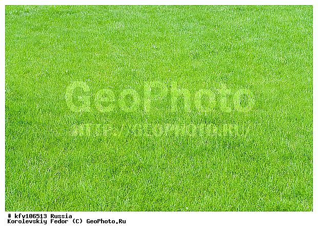 ������ �����, ������ �����, ������ �������� ������, ������ ������ ���, ��������, �����, �������, ���