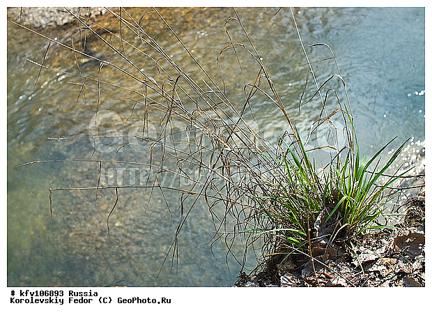 �������� ������, �����, ����, ������ ���� ����, ������ ����, ����� �����, ������ �����, ��������, �������� ����, �����, ����� ������, ����� �����, ���