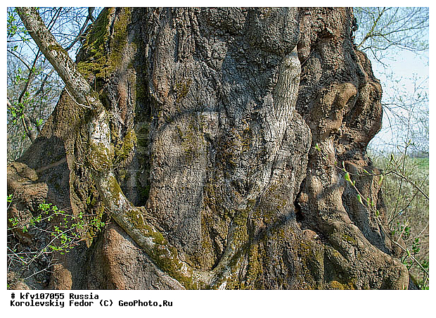 �������� ������, ��������������, �����, ������ ���� ����, ������ ����, ������ ���� ����, ����������, ���������� �������, ���������� ���, ������ �����, ��������, ����������� ������, ������, �����