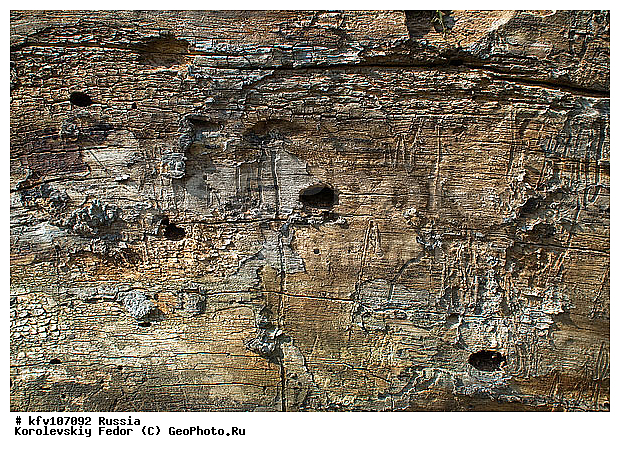 ��������, ��������, ���������, ������ ������, �������, ���