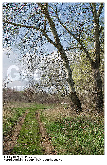 �������� ������, ��������������, �����, ������ ���� ����, ������ ����, ������ ���� ����, ����������, ���������� �������, ���������� ���, ������ �����, ��������, ����������� ������, ������, �����