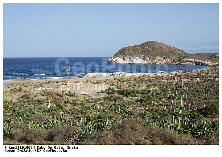 ���� �� ����, ��� ����������, �����, ����