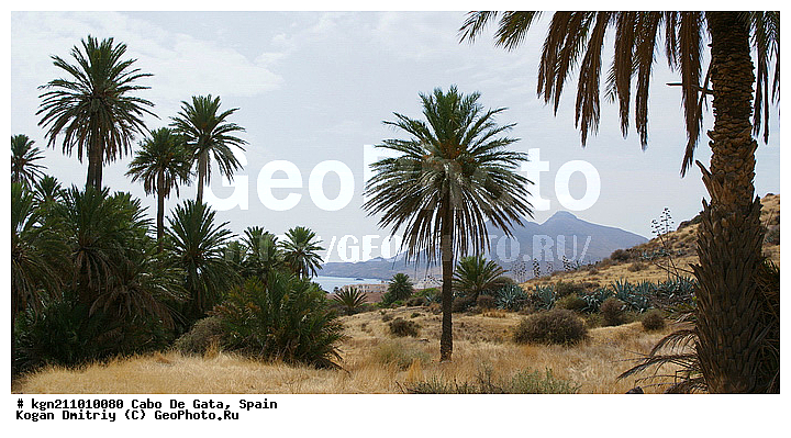 ������ ���� ����, ���� �� ����, �����, ����, ������