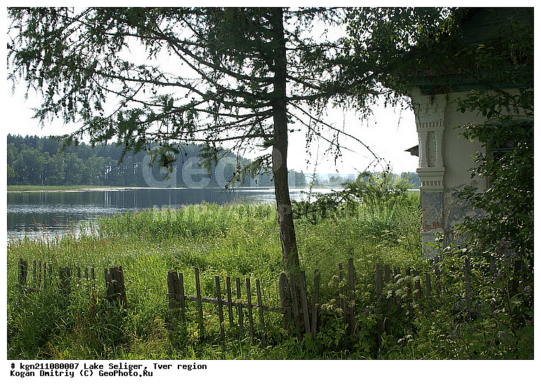 ��������, �������, �������� �������, �������, ������������ ���