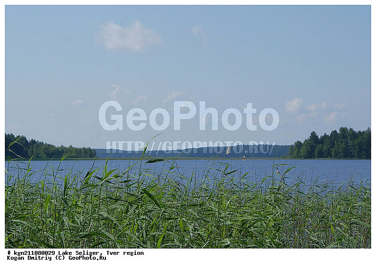 �������, �������� �������