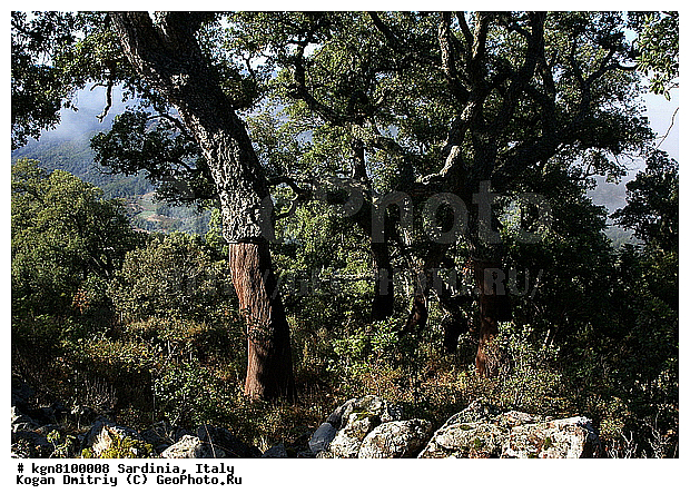 ������, �������������, ��������, ��������� ���