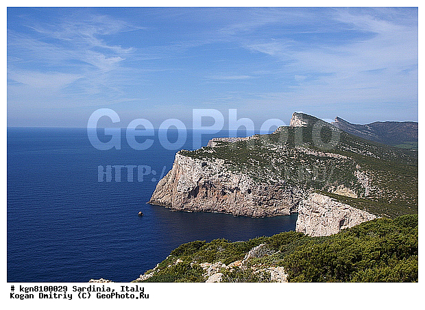 ���� �����, ��������, ����, �����