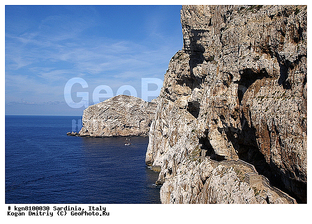 ���� �����, ��������, ���� �������, ��������