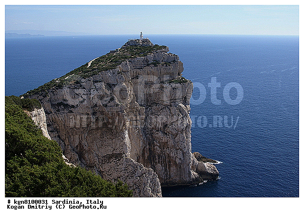 ���� �����, ��������, ����