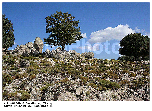 ��������, ��������, ����������, �������� ���