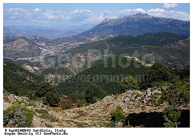 ��������, ��������, ����������, ����