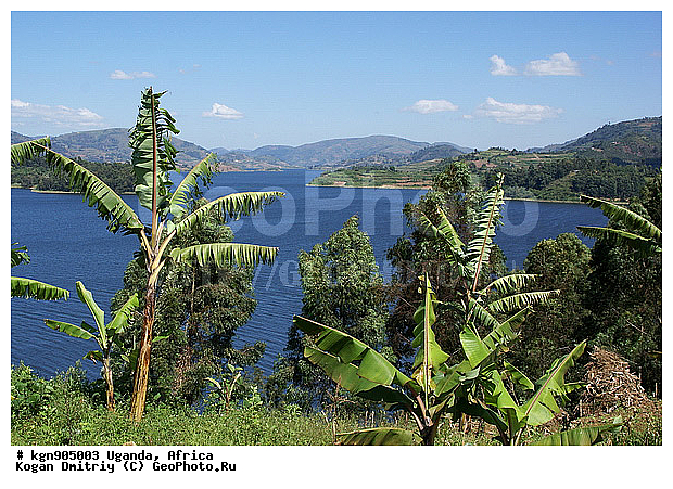 ������, �������, ������, �����