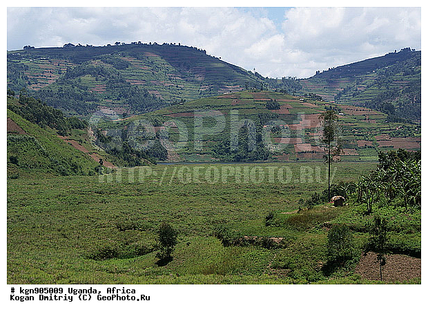 ������, �������, ������, �����, �������, ������