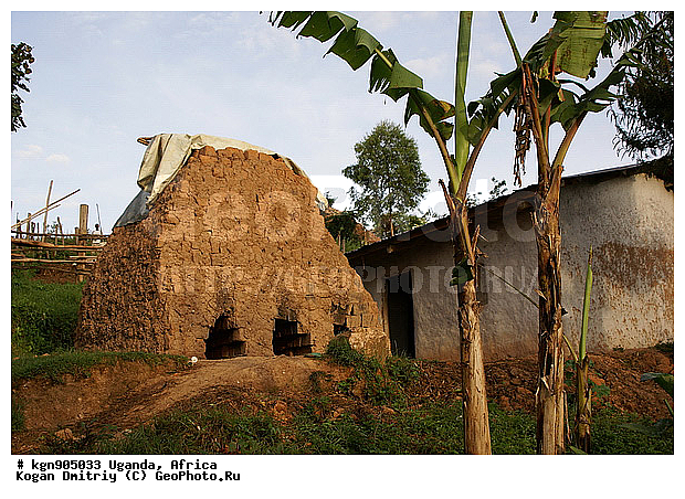 ������, ������, ������, ����