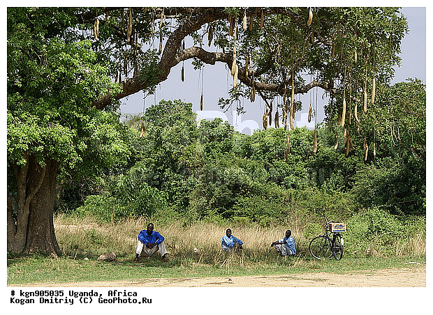 ������, ������, ���������� ������