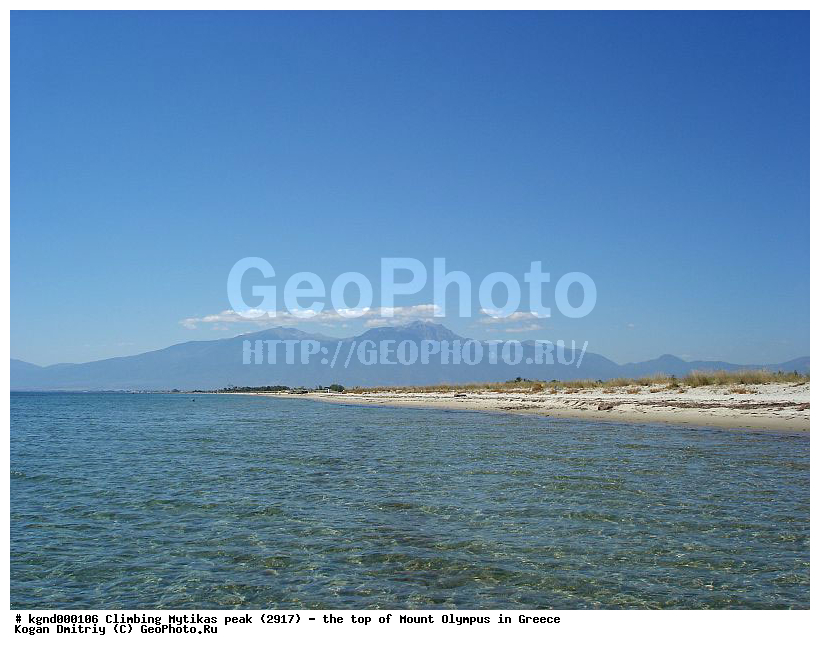 �����, �������� ����, ���� �����