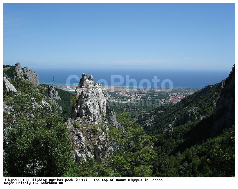 �����, �������� ����, �����������, ���� �����, ������