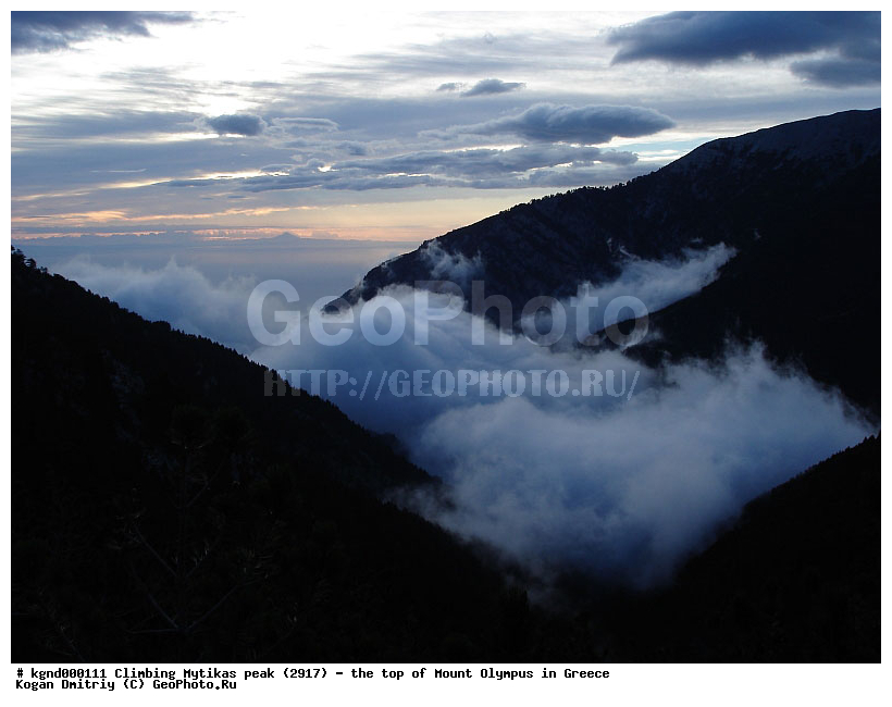 �����, �����������, ���� �����, ������