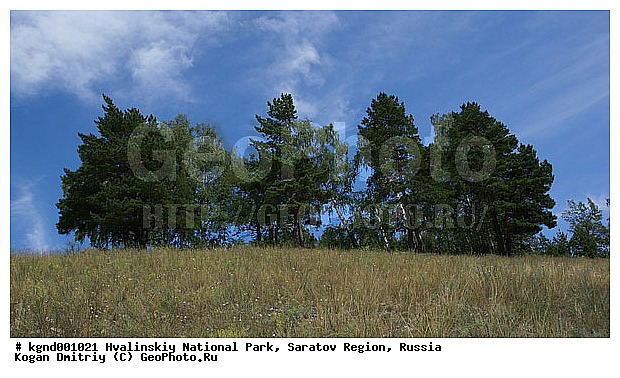 ����������� �������, ����������, ������������ ����, �����