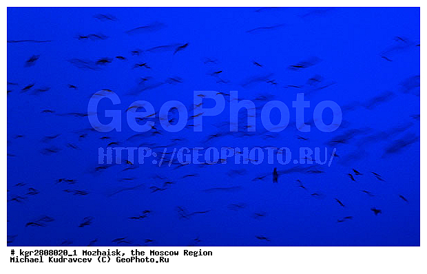 �������, ���������� �������