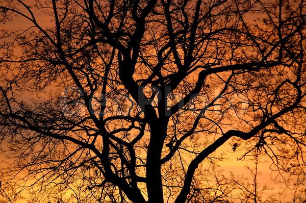 ����, �������, ������������ ���, �����, �����, �����, �����, ������, ����������, �����, ��������, ����, ���������, ������, �������