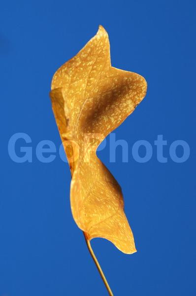 ������, ������� �����, ����, ����, �������, ������� ������, ������, �����, ���������, �����