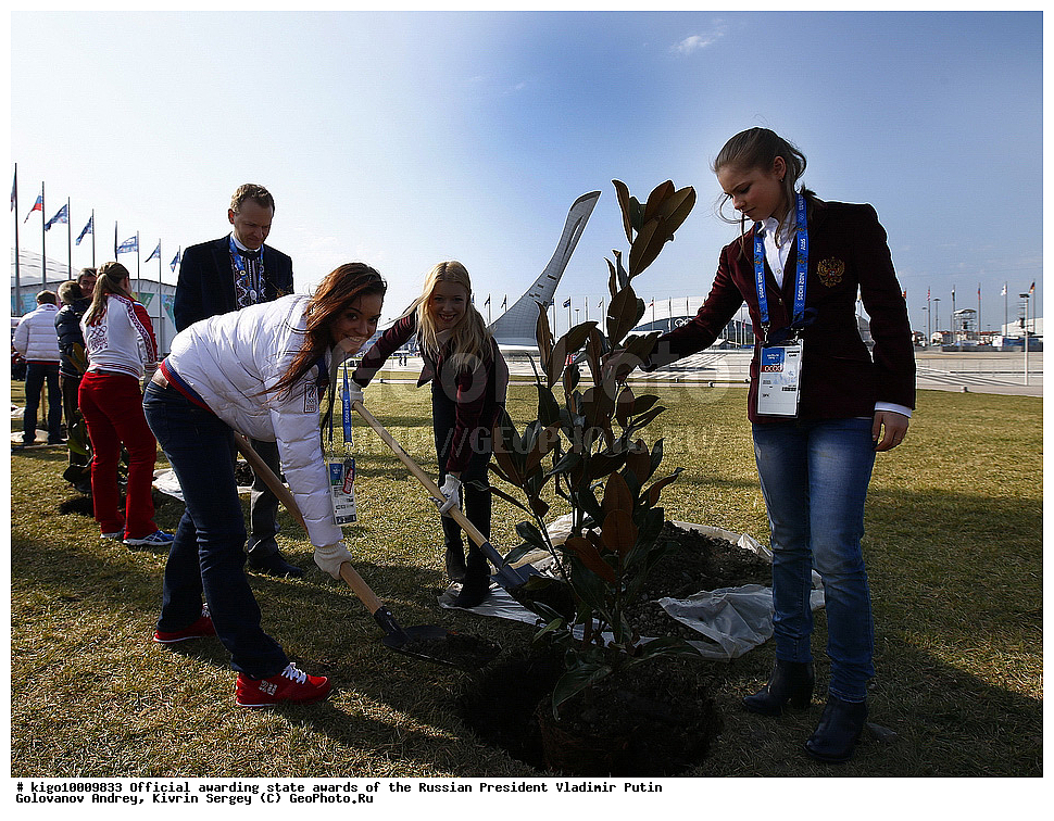 ����������� ����, ���������, ����, �����������, ����������������� �������, �������� �����