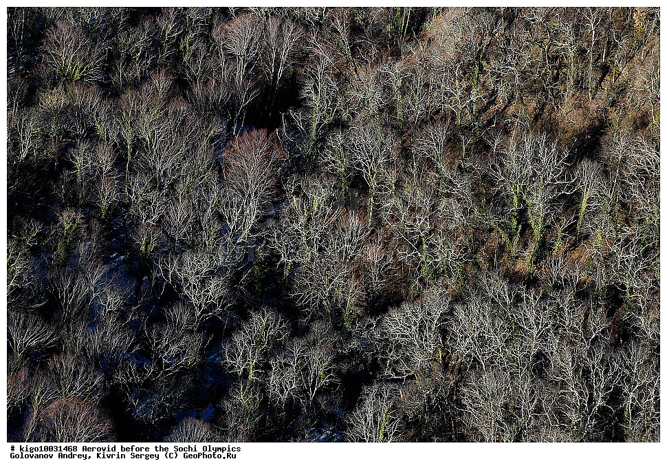 ����������� ����, ���������, ����, �������