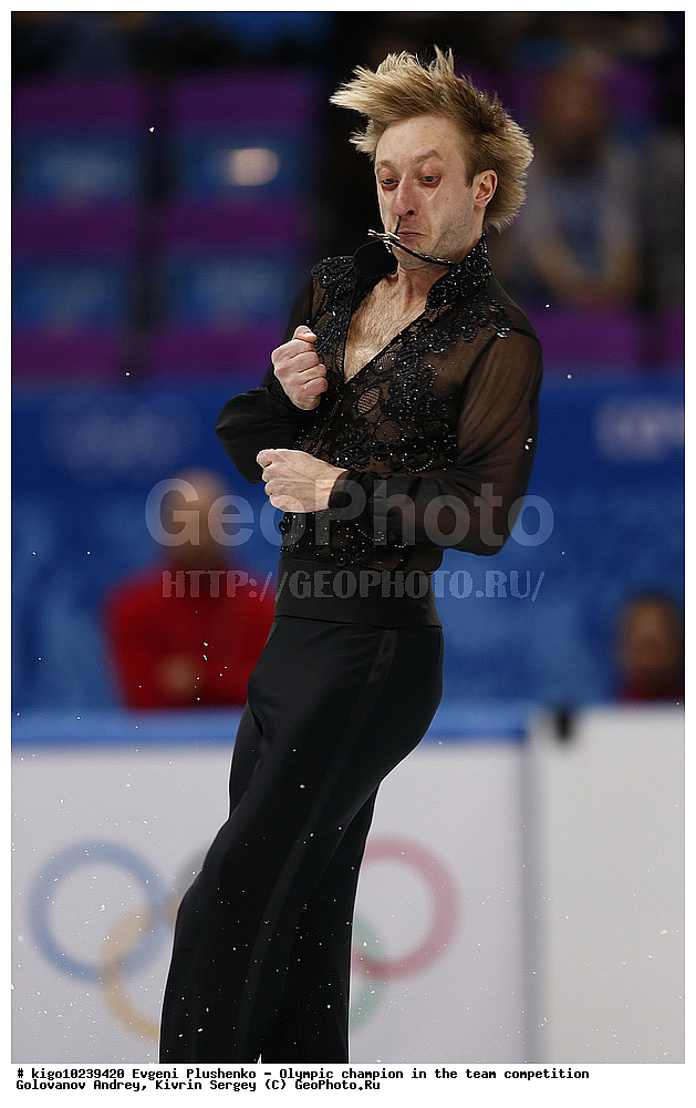 ����������� ����, ���������, ����, �������� �������, ������� ��������