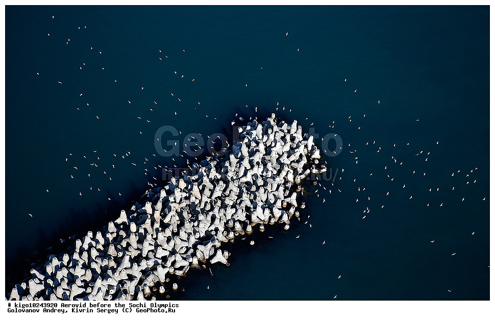 ����������� ����, ���������, ����, �������