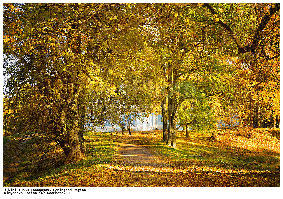 ������� �����, ����,������-�������� ��������,���������, ������������� �������