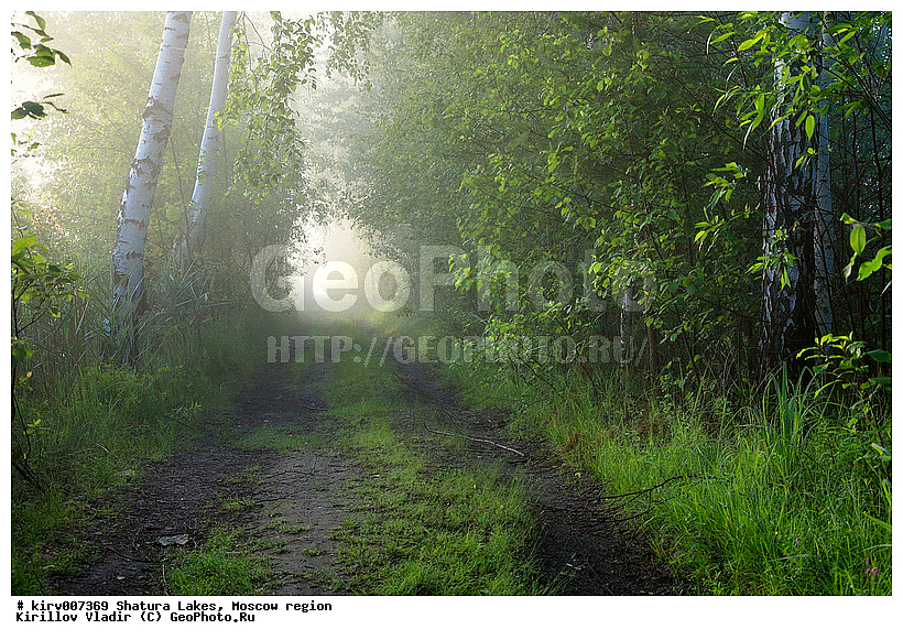 ������, ������, ������, ���, ����, ������, �����, �����, �����, ��������� �����