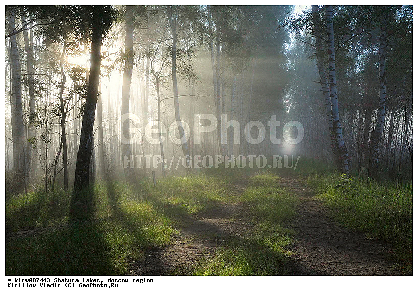 ������, ������, ������, ������, ���, ����, ����, �����, �������, ����, ������, �����, ��������� �����