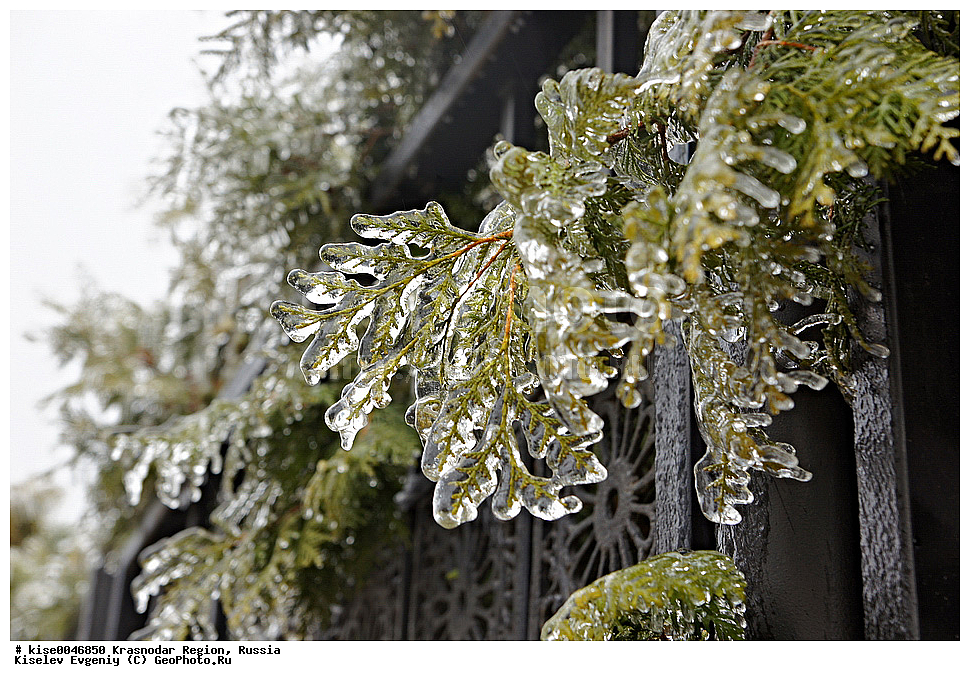 ������,������������� ����, ���������, �����, ����, �������, ������, �����, ������� �����, ���, �����������,������, ���, ��������, 